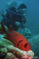 Philip and the Fish (squirrel fish) while waiting for the manta to come 