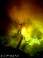 The red tannic river water makes  an amazing view from below when it mixes with crystal clear spring water.  