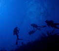 The Deep Blue, Belize, macro 
