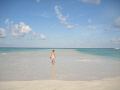tubbataha reef 2008 
