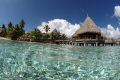 Tikehau's Atoll 