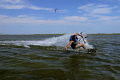 Kite Surfer 
