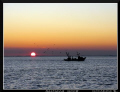 the fish boat back to home / the warm atmosphere of this pictures is relative: this day was the water temperature on 10 meter depth just 12oC...brrr 