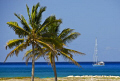 "Safe Haven"  Old Bahama Bay 