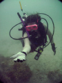 Spiders underwater.  Gulf of Mexico near Tampa Fl area (Tarpon Springs).  Shot this picture of my wife, modeling the arrow crab on her arm.  May 2008 