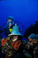 Capt. Kevin Davidson with the ships bell. Truk lagoon, Unki #6
Nikonos V 15mm 2.8 fuji velvia  ASA 50 1990 
