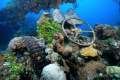 Pic of a truck shot on top of a wreck sunk in Truk Lagoon. 