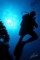 even a diver against a sunburst looks much much "cooler"... 