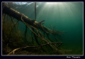 Freshwater magic atmosphere 