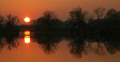 "Diving Sun"     ...at the end of a diving day. 