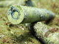 on board a Truk Lagoon Wreck. Casio Exilim ex z100 