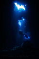 At the Altar! First cathedral (Lana'i, HI) - an underwater lava cave with a big rock in the middle rising up as an altar. Taken with Canon XSI in Ikelite housing. 