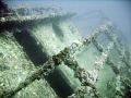 Diving the Ebenezer II with a dive charter out of Fort Lauderdale 