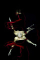 model - Francis Alexander 