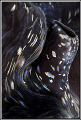 I agree, those giant clams really are suggestive. 