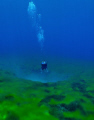 Diver and freshwater spring.  Clear Lake, Oregon Cascade Mountains.  Olympus SP350 and Inon wide angle lens. 