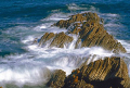 ocean in motion 