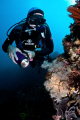 Dive Buddy lights up a soft coral at a dive site just south east of Rottnest Island. Canon 20D tonika 10-17. 