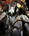 Hermit Crab ,
Dahab 