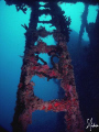 This image was taken on the Speigel Grove a few weeks ago. Viz was awful with ensuing storms and 1 kn ot current off Key Largo. Cool dive though! few good shots! 
