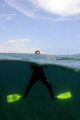 APNEA Diver /in between 