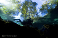 Ginnie springs where the water is so clear you can see the leaves on the trees from underwater! My buddie Anthony swims overhead getting ready to enter the caves! 