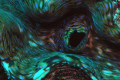 Macro close-up of the colorful patterns of a giant clam; shot with Nikon D2X, Micro-Nikkor 105mm, 2 Inon Z-240 strobes and Aquatica Housing 