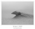 Imagine: Were did this Shell live, how long ago did it died, was it eaten by a crab? And what will happen when we leave it here? A small dune already exists, would it become a big dune in the future…… 