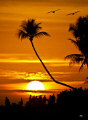 Waiting for Sunset 