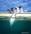Hogy Lures Product Shoot 