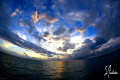 This image was taken from the bow of the Shearwater after finishing a great day of diving at Tiger Beach. As the sun set we prepared for our night dive with Lemon Sharks. 