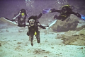 manta sapiens 