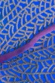 Close up of a sea fan (105mm macro lens) using a slow shutter (1/30sec) to pick out the background blue. 