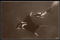 "Manta and Me 1975" 

Photo taken by Adriano Trapani, at Koh Bon, Thailand of me and a Giant Manta. I added an "old Photo" effect. 