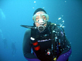 Shark-nose 
