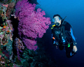 Jo and a beautiful soft coral fan in Palau.  Big Drop Off. 