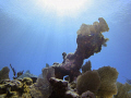 Anchor from the City of Washington, Elbow Reef, Key Largo, FL 