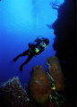 My son, Andrew, hovering over large sponges, Grand Cayman Islands 