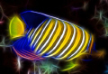 Regal angelfish....enjoy! 