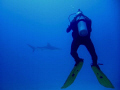 Hunting the hunter... 