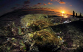 half above half below.....dreamy sunset in Laguna Beach...mother takes son out for walk at low tide 