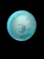 Bubble Reflection - Utila, Honduras
Talk about a lucky shot ! Been trying to get a better one ever since, spent entire dives swimming above other divers and never got even close. 
