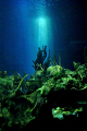 Rays of Light 