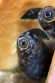 Taken in Turks and Caicos using 105 lens 