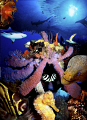 This is my world underwater; composing Galapagos shark, iridescent sponge- Bonaire, Meyers Butterfly-Palau, Bonaire Seahorse, Molly Miller -Sea of Cortez w/Sea lion there too, Green Moray, Turks & Caicos, Florida Keys background 