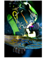 night dive /diver and file fish 
