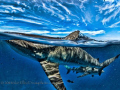 Reef sharks or as they are known with affection as "Ankle Biters"
cruse the waters of the Bahamas looking for hand-outs when we pull up to dive. 
