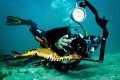 Good friend from Bay Play photographing male weedy seadragon off Portsea beach. 
Happy (belated) New year!! May 2012 be a wonderful year for everyone!! 