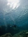 Dive off Big Island in Hawaii. April, 2012. 