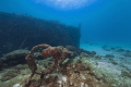 The anchor that got left behind 